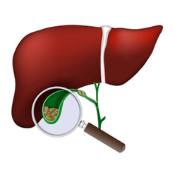 Pancreas and Liver Disease